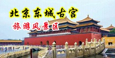 欧美翘臀大屌中国北京-东城古宫旅游风景区